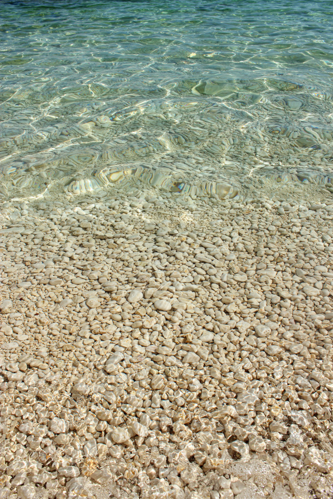 Aqua Ocean and Golden Pebbles de Alyson Fennell