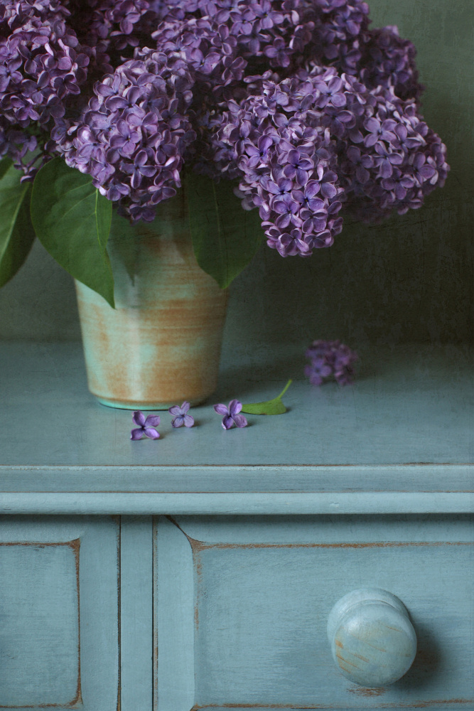Purple Lilac Still Life de Alyson Fennell