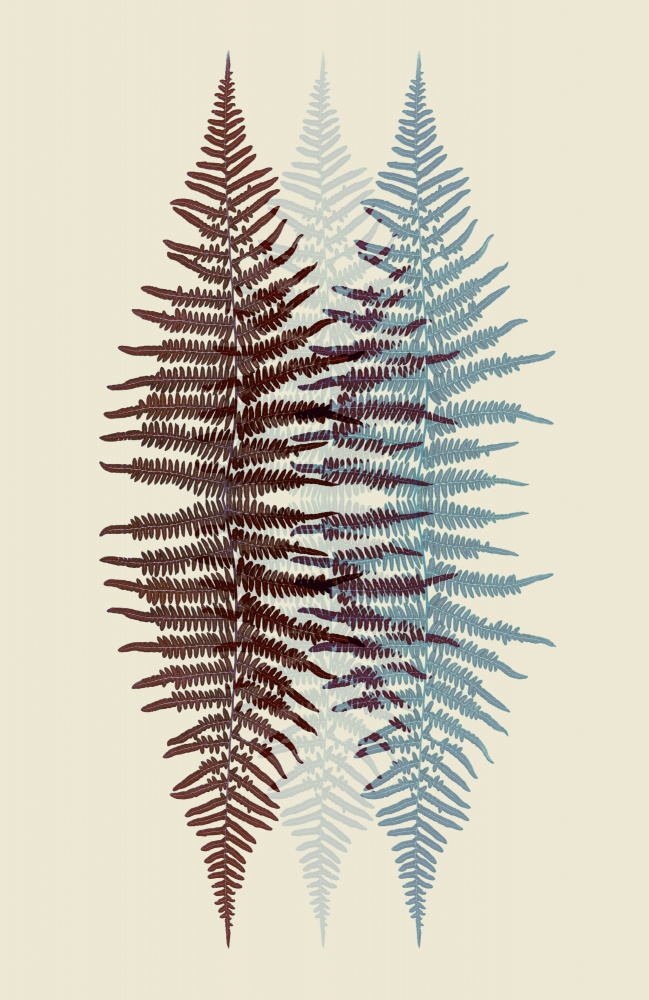 Chocolate and Teal Fern de Alyson Fennell