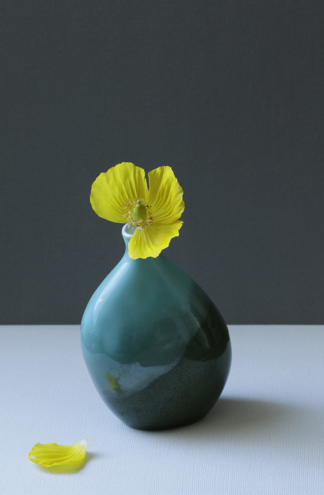 Yellow Welsh Poppy Still Life de Alyson Fennell