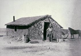 Typical prairie sodhouse, Wichita County, Kansas, c.1880 (b/w photo)