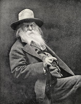 Walt Whitman (1819-91) (b/w photo) de American Photographer, (19th century)
