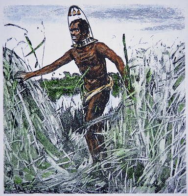 Runaway slave (coloured engraving) de American School