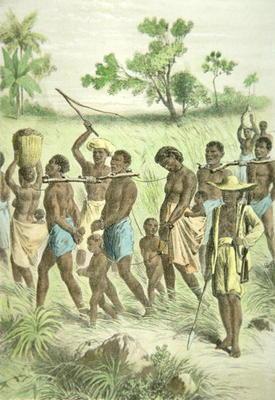 Africans captured for the slave trade (colour litho)