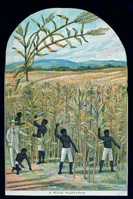 Cutting cane on a sugar plantation in America's Deep South (colour litho)