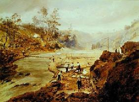'Fortyniners' washing gold from the Calaveres River, California