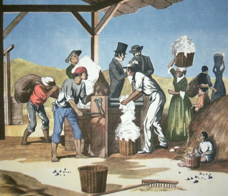 Eli Whitney's (1765-1825) Cotton Gin, operated by black slaves, 1793 (colour litho) de American School, (18th century)