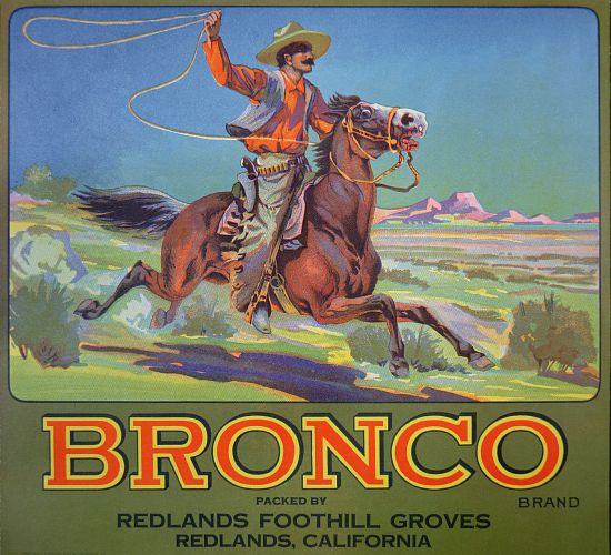 'Bronco Oranges' de American School, (20th century)