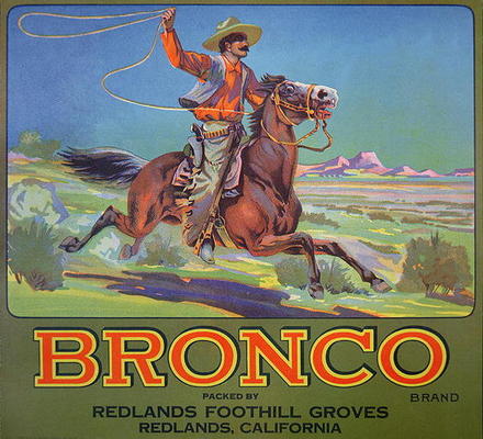 'Bronco Oranges', c.1900 (colour litho) de American School, (20th century)