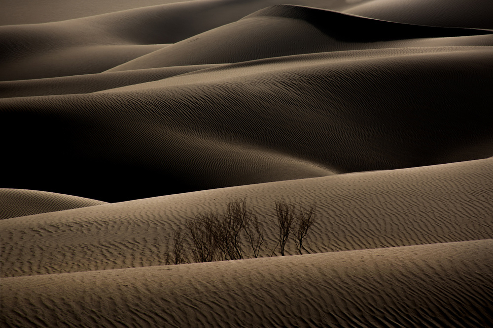desert2 de Amin Dehghan