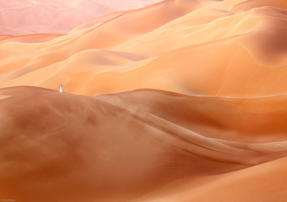 Desert Beauty de Anas AlSubhi