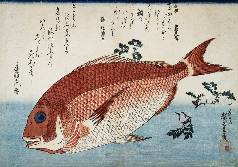 Red Sea Bream de Ando oder Utagawa Hiroshige