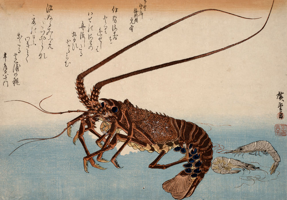 Lobster and Shrimps de Ando oder Utagawa Hiroshige