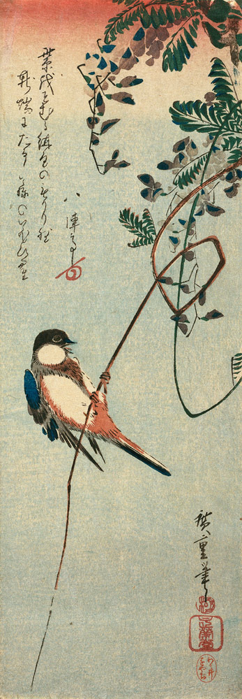 Schwalbe auf einem Ast einer Glyzinie sitzend. de Ando oder Utagawa Hiroshige