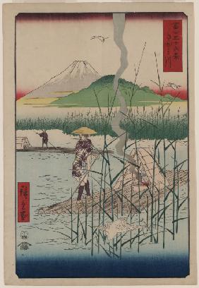 The Sagami River (From the series "Thirty-Six Views of Mount Fuji")