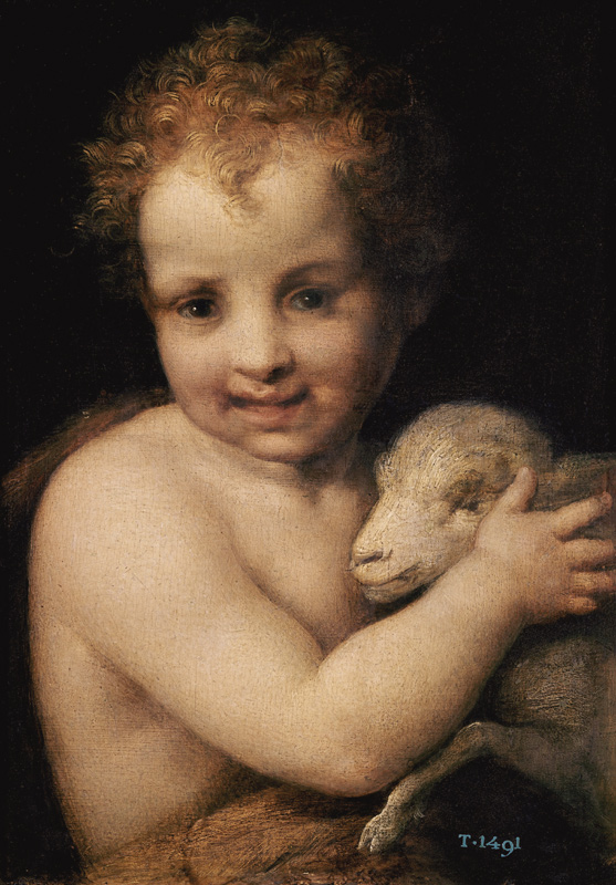 John the Baptist as child de Andrea del Sarto