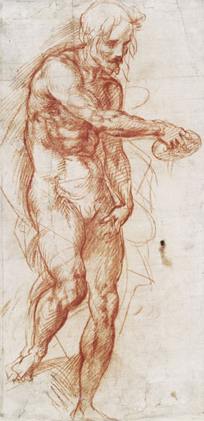 Saint John the Baptist (Study) de Andrea del Sarto