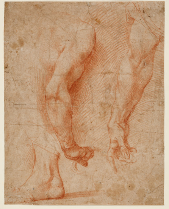 Studien von zwei Armen und eines Fußes de Andrea del Sarto