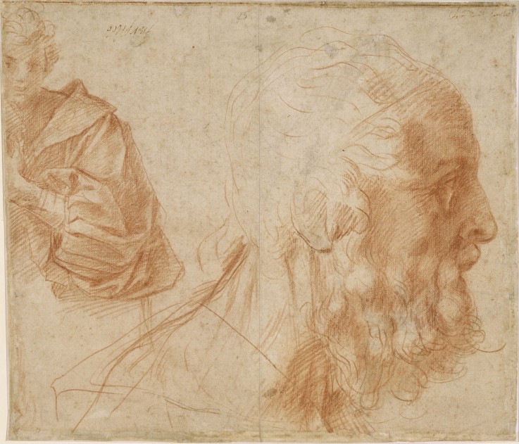A youth and the head of an old man (Homer?). Study de Andrea del Sarto