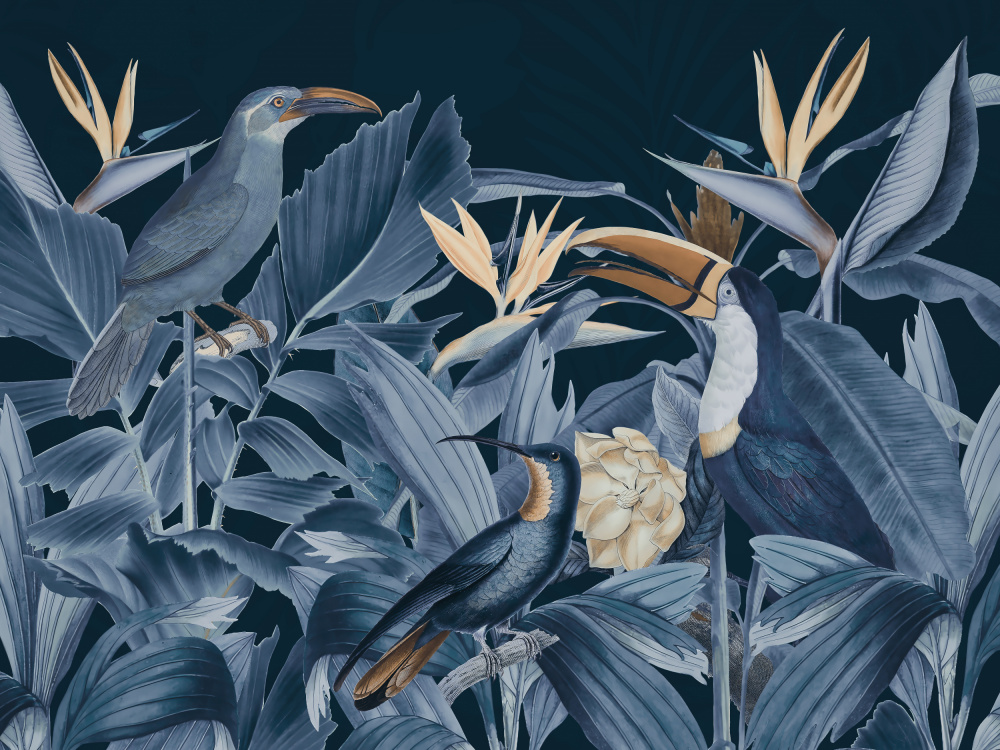Rainforest Birds Blue de Andrea Haase