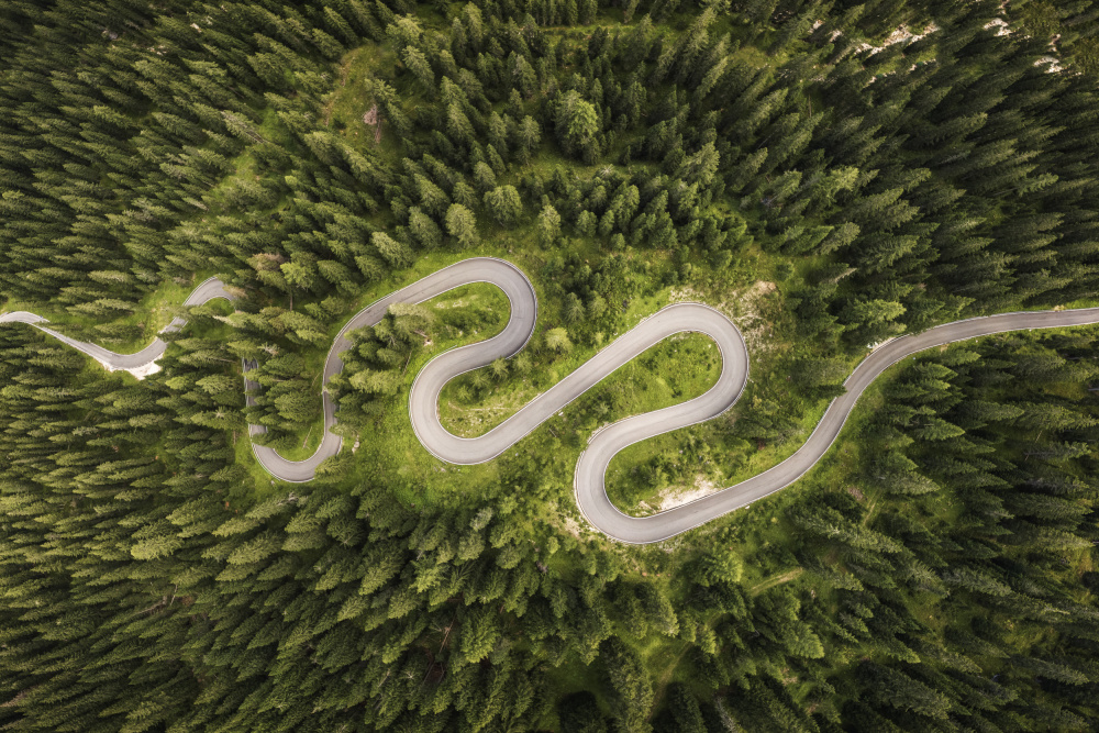 Snake Road de Andrea Maestosi