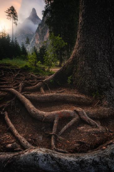 Roots of the earth