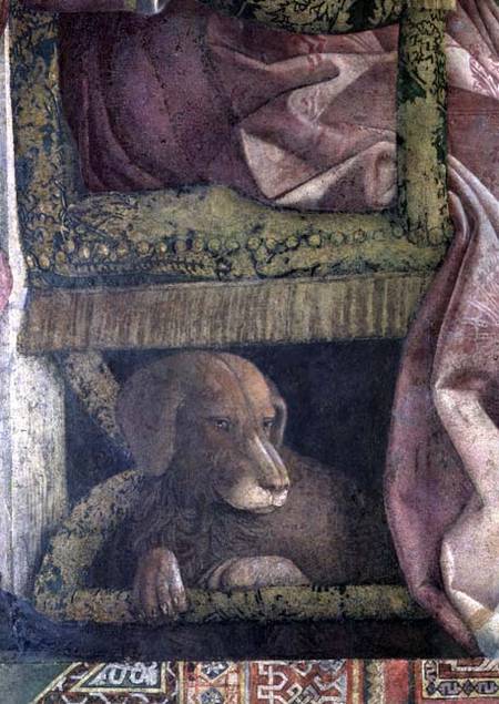 Rubino, the favourite dog of Marchese Ludovico Gonzaga III of Mantua and his family, from the Camera de Andrea Mantegna