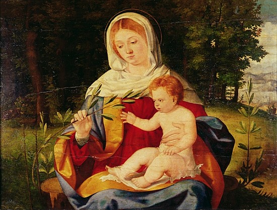 The Virgin and Child with a shoot of Olive, c.1515 de Andrea Previtali