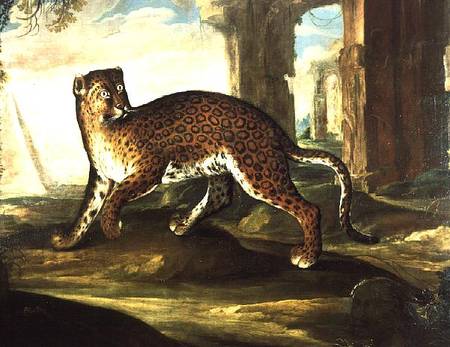 A Jaguar de Andrea the Elder Scacciati