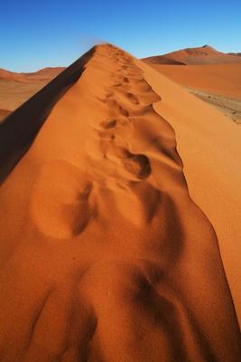 Spuren im Sand de Andreas Pollok
