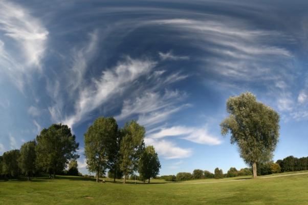 Landschaft - Wiese, Bäume, Zirruswolken de Andreas Weber