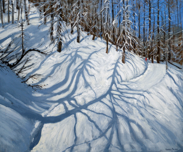 Fir Tree Shadows, Tignes de Andrew  Macara