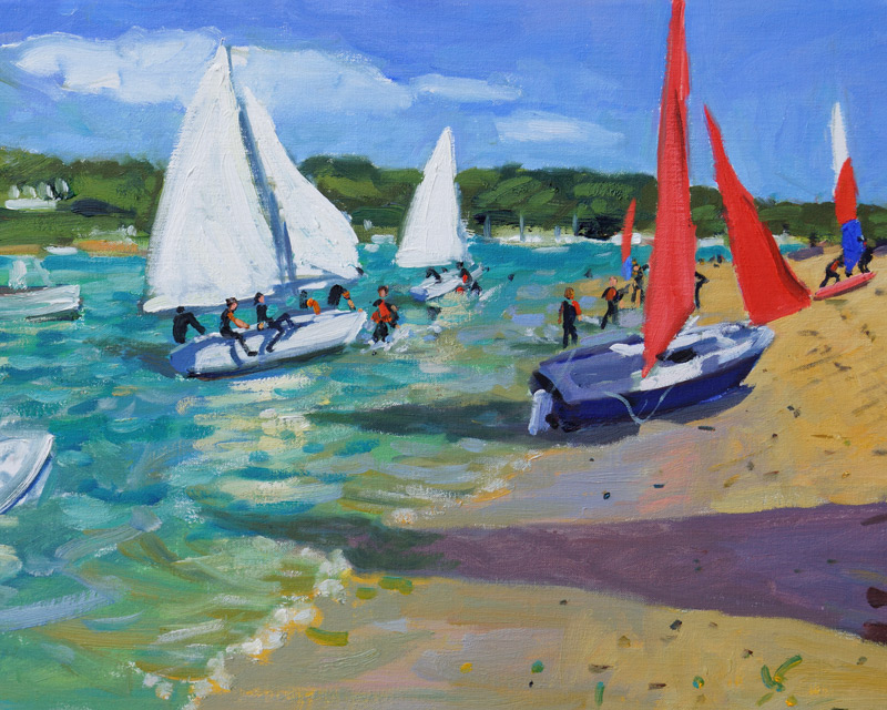 Sailing Boats ,Salcombe de Andrew  Macara