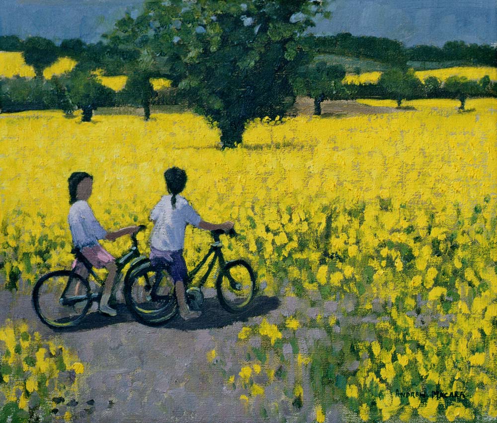 Yellow Field, Kedleston, Derby (oil on canvas)  de Andrew  Macara
