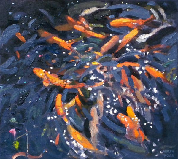 Goldfish de Andrew  Macara