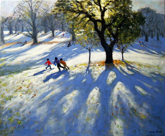 Markeaton Park, early snow de Andrew  Macara
