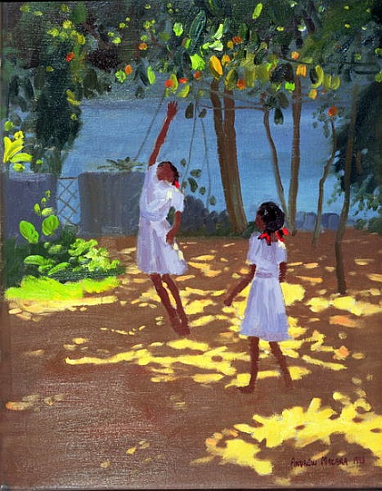 Reaching for Oranges, Bentota, Sri Lanka de Andrew  Macara