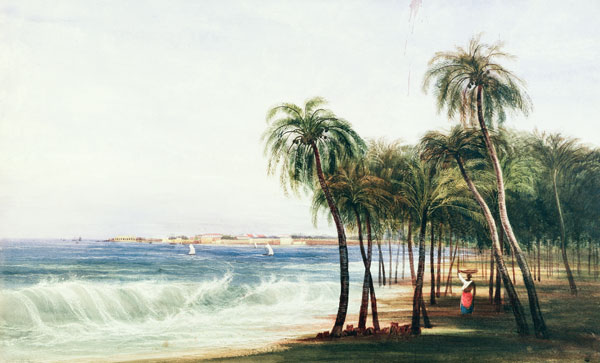 A View of Colombo, Ceylon de Andrew Nicholl