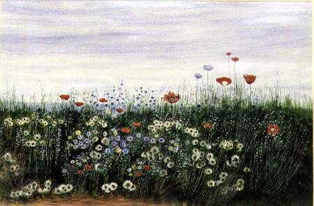 Poppies, Daisies and other Flowers by the Sea de Andrew Nicholl