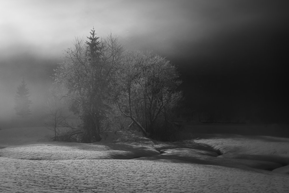 winter is painting in bw de Andy Dauer
