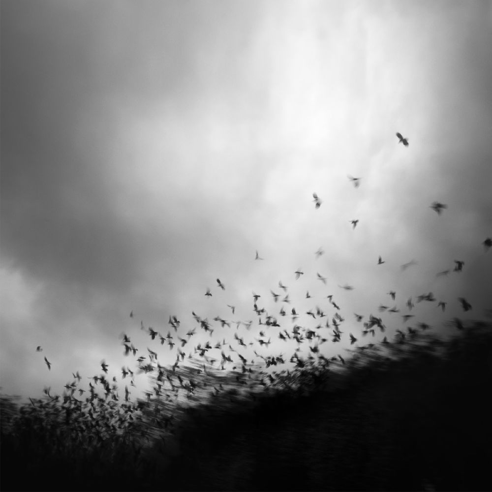 without you, my whole world comes apart at the seams de Andy Lee