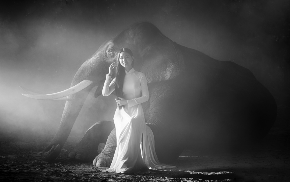 A Girl and An Elephant de Angela Muliani Hartojo