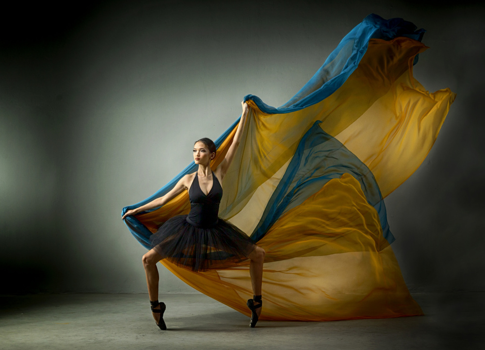 Dance with Colors de Angela Muliani Hartojo
