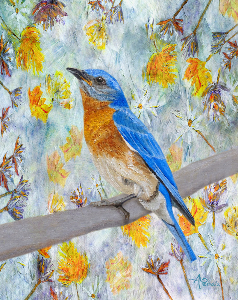 Springtime Eastern Bluebird de Angeles M. Pomata