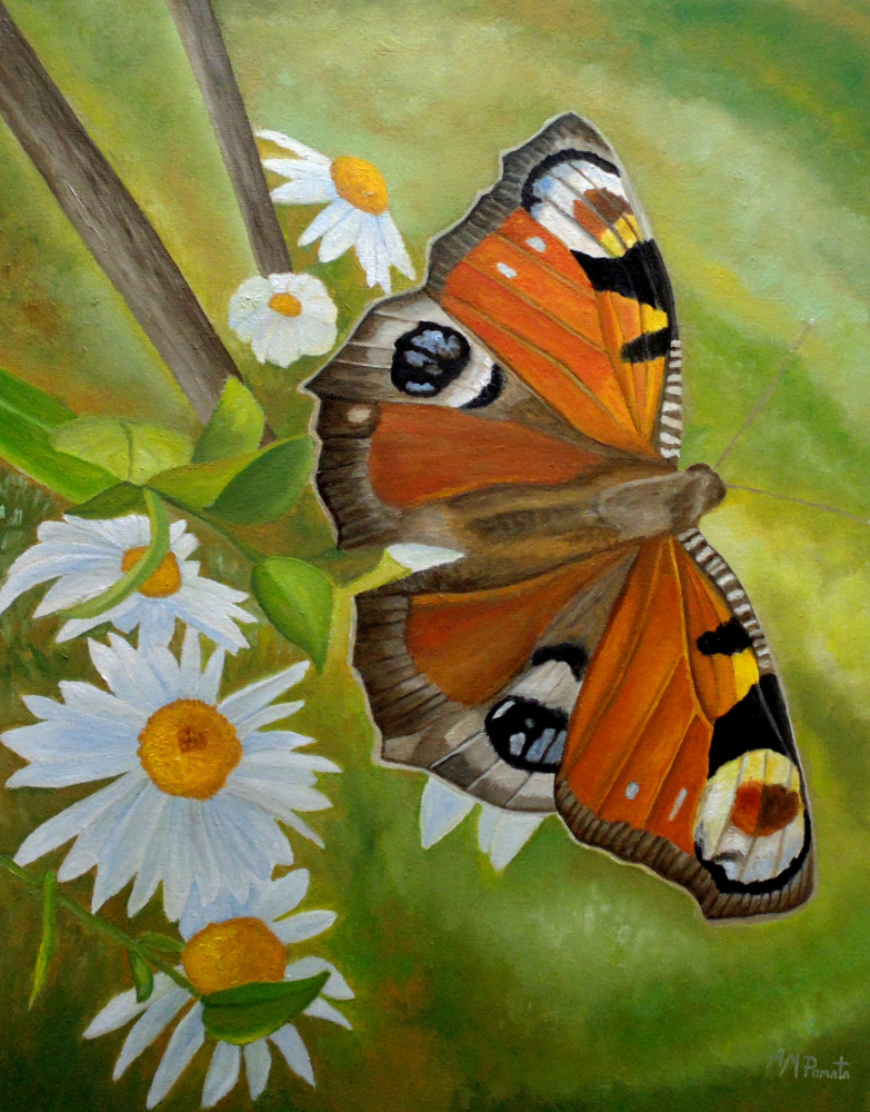 Peacock Butterfly de Angeles M. Pomata