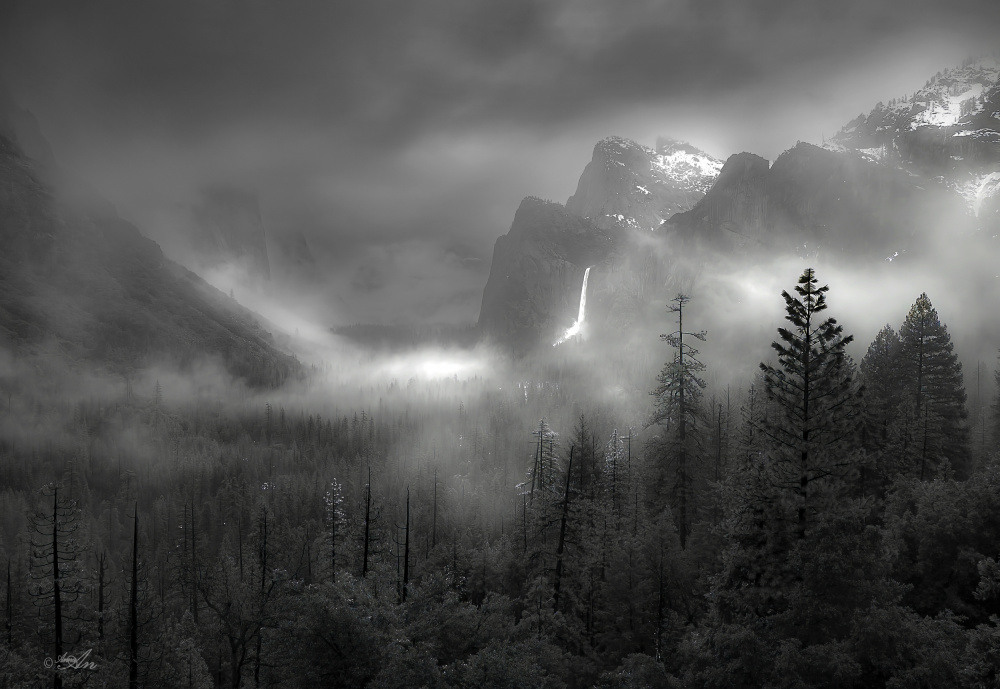 Foggy Yosemite Valley de ANNA AN