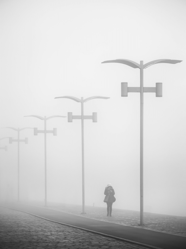 Walk in the fog. de Anna Niemiec