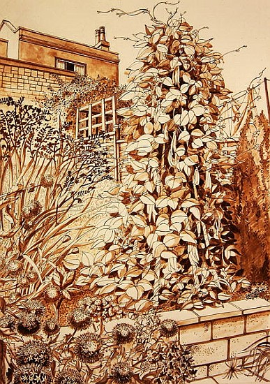Back Garden with Beans, Bath (pen & ink and wash on paper)  de Anna  Teasdale