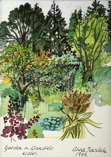 Garden in LLandielo de Anna  Teasdale