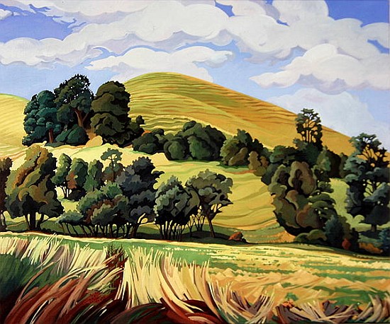 Little Hill, Cold Ashton (oil on canvas)  de Anna  Teasdale